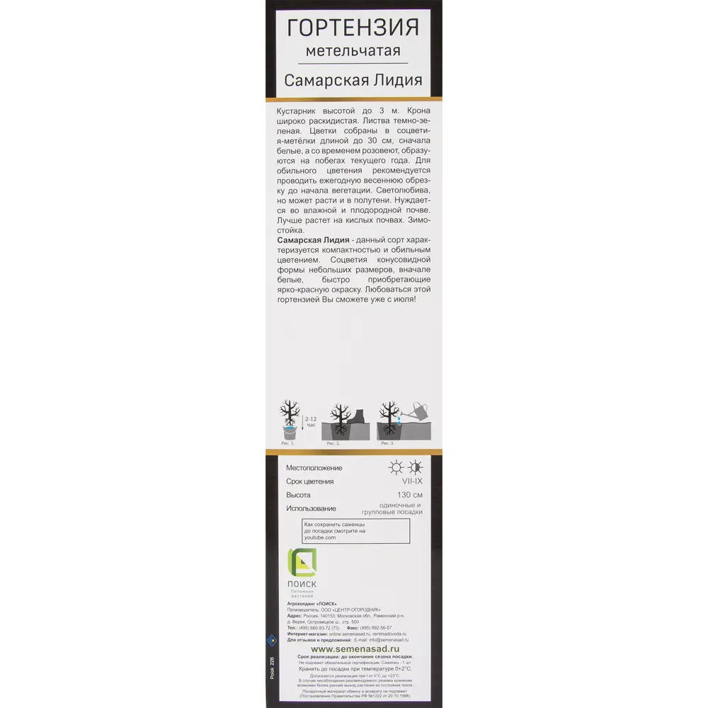 Гортензия метельчатая Самарская Лидия 82527732 STLM-2020697 Santreyd  - Вид №3