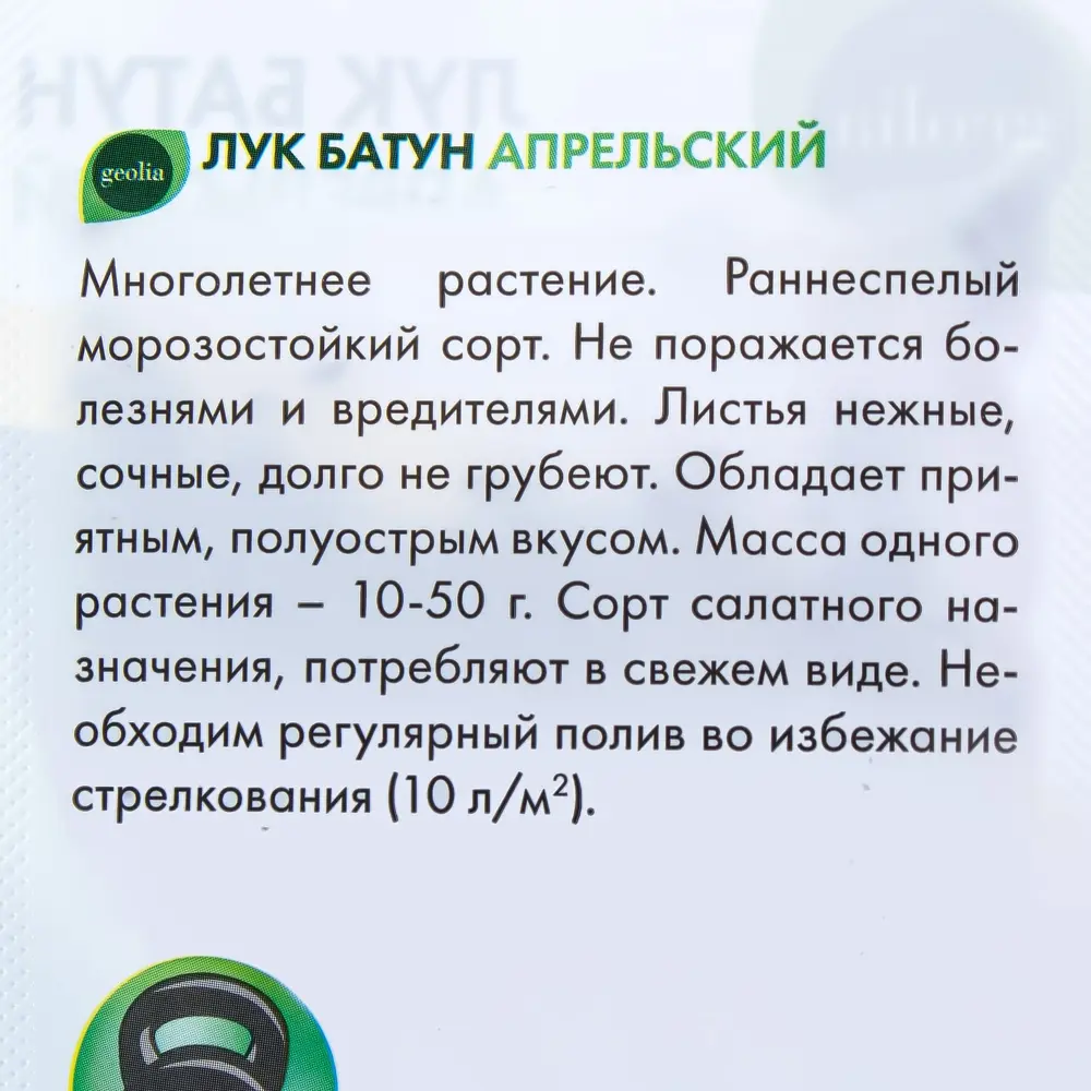 GEOLIA Лук-батун Апрельский - морозостойкий многолетник с витаминами 17584524 STLM-0008306 - Вид №2