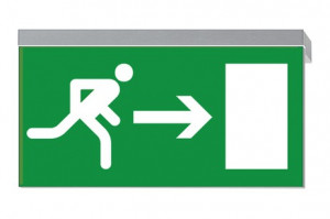 DST-1502 Ikus 320-p Daisalux Светильники сигнальные Серебристо-Серый