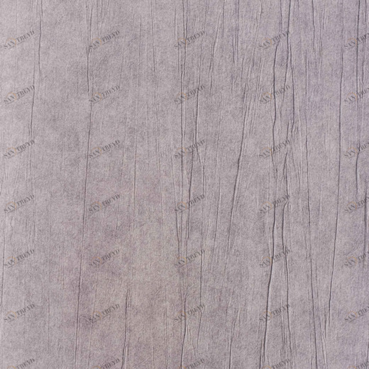 0216-PIT Обои ProSpero Space 0216PIT