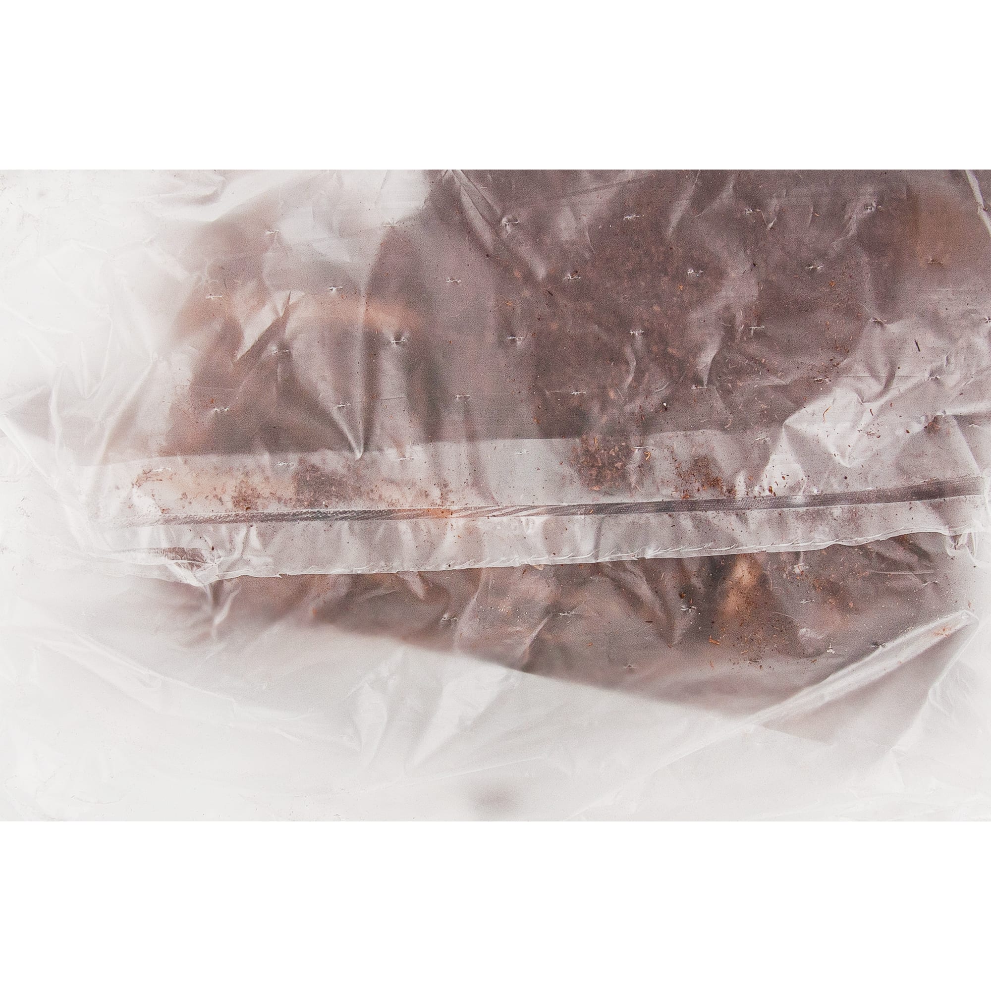 83761011 Лилейник Пепл Николь луковица 5/6 Santreyd  - Вид №2