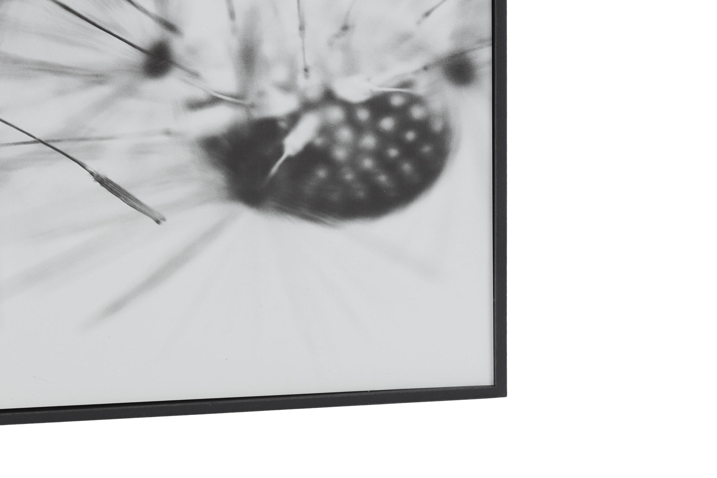 8433840552637 Картина Small Calantha одуванчик 40x30 GUDEE  - Вид №2