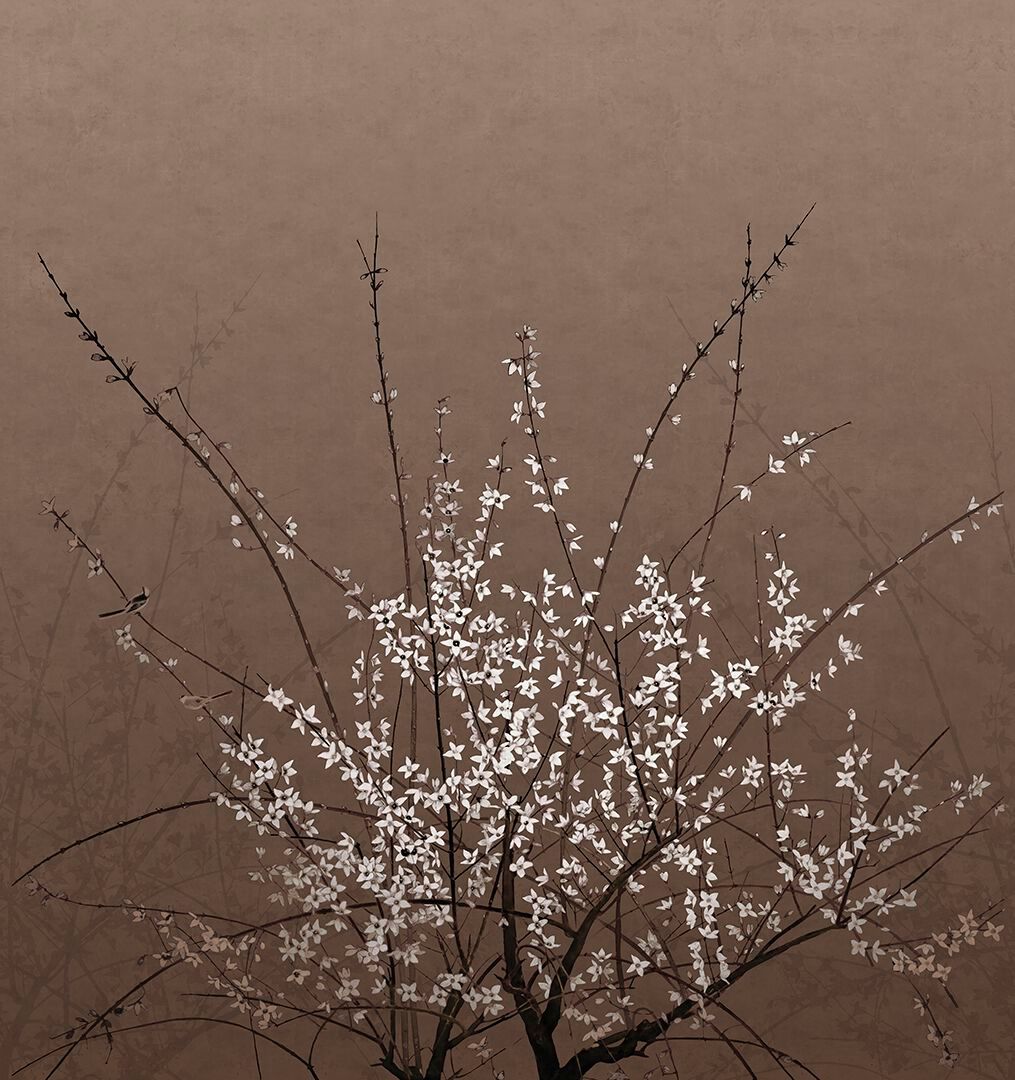 Обои с поддержкой d. ecodura™ Wall&decò Современные обои 2024 ARCH-00042540 - Вид №1