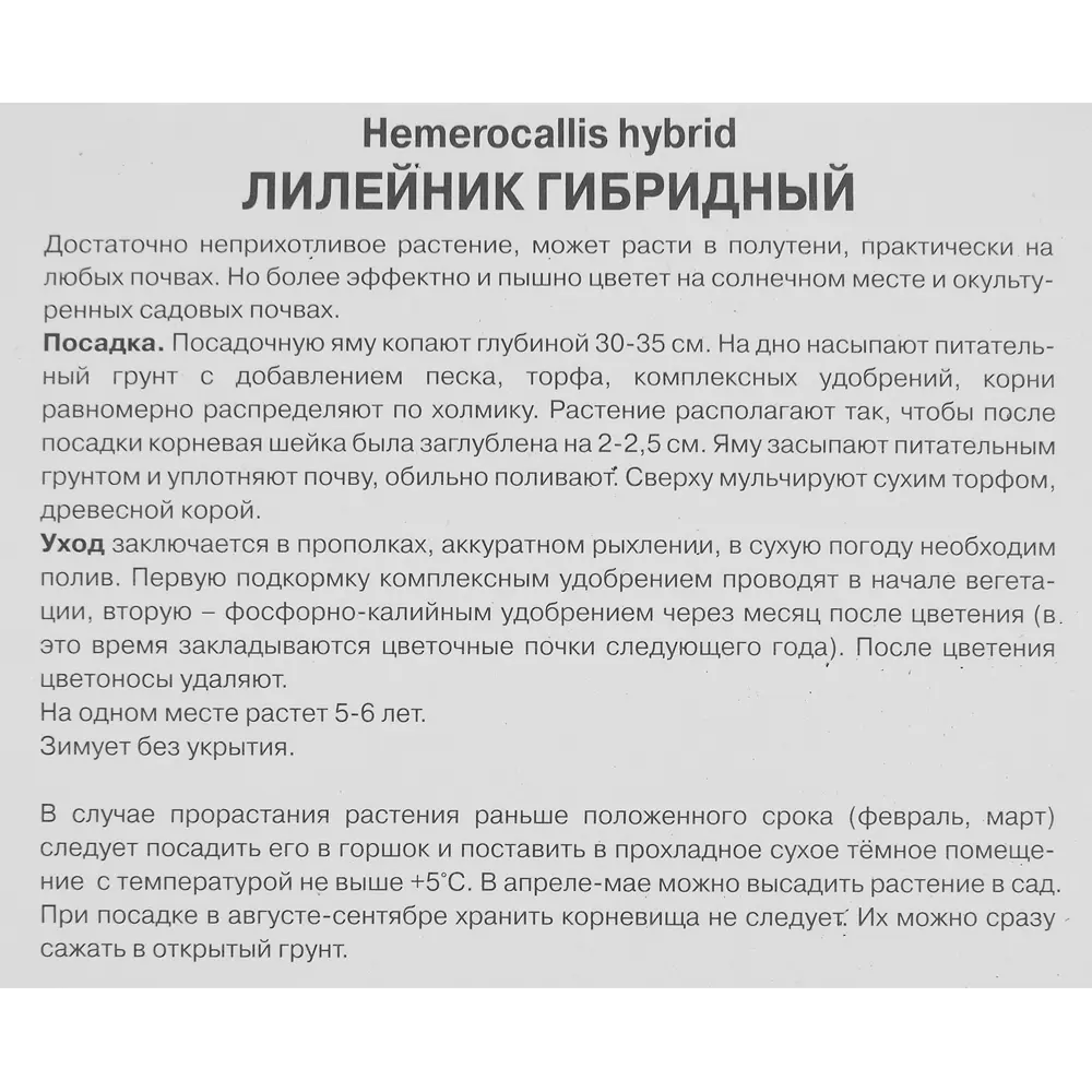 Лилейник гибридный Канадиан Бордер Петрол 85186040 STLM-2029063 ПОИСК  - Вид №2