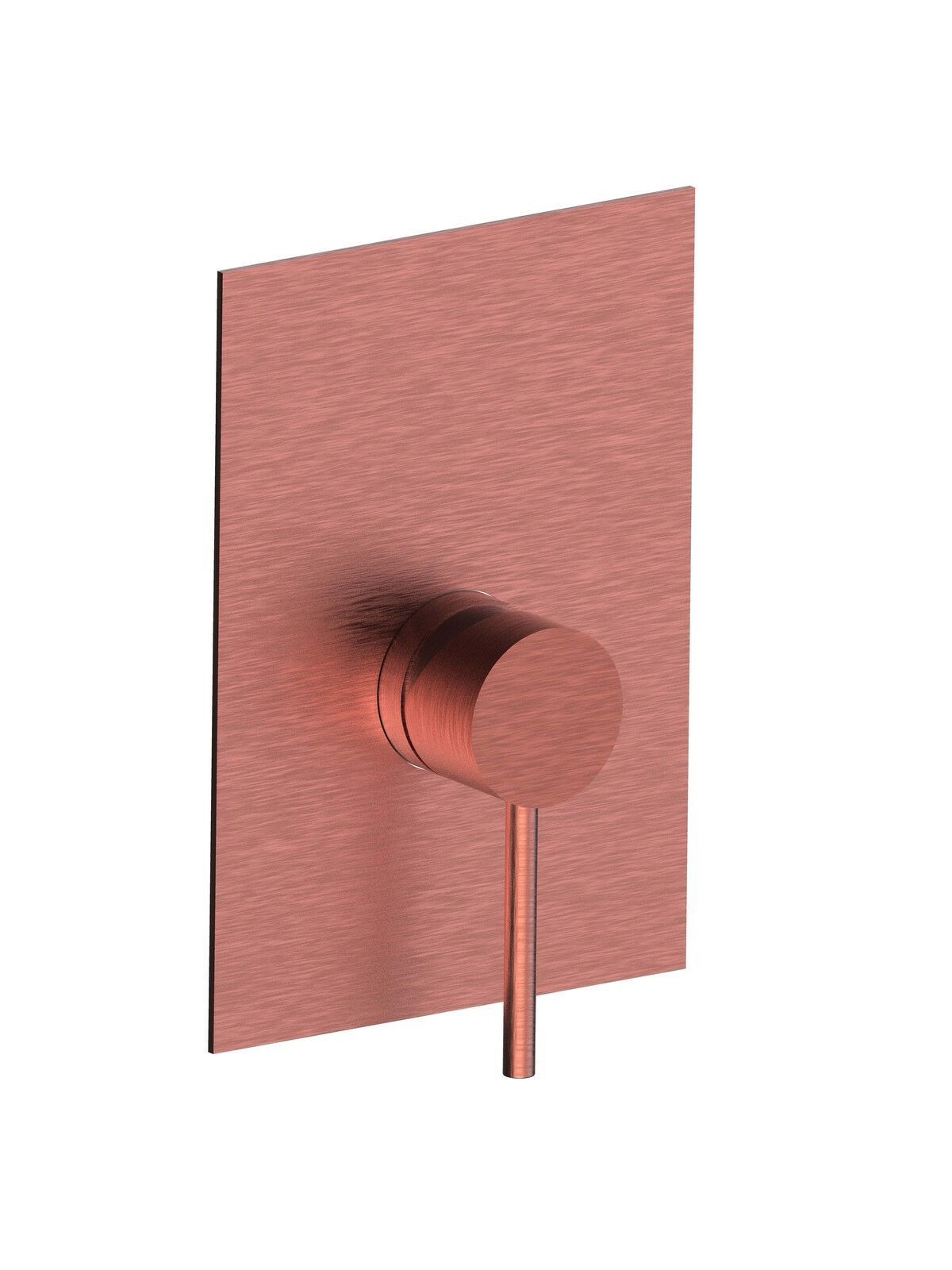 Однорычажный смеситель для душа из нержавеющей стали с пластиной Rubinetterie Frattini Pepe XL 316 ARCH-00087851 - Вид №2