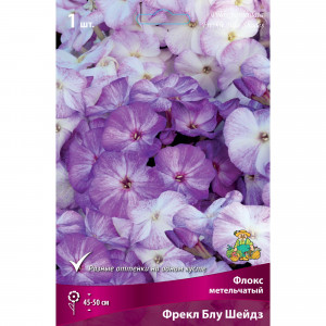 88294978 Флокс метельчатый Фрекл блу шейдз луковица I