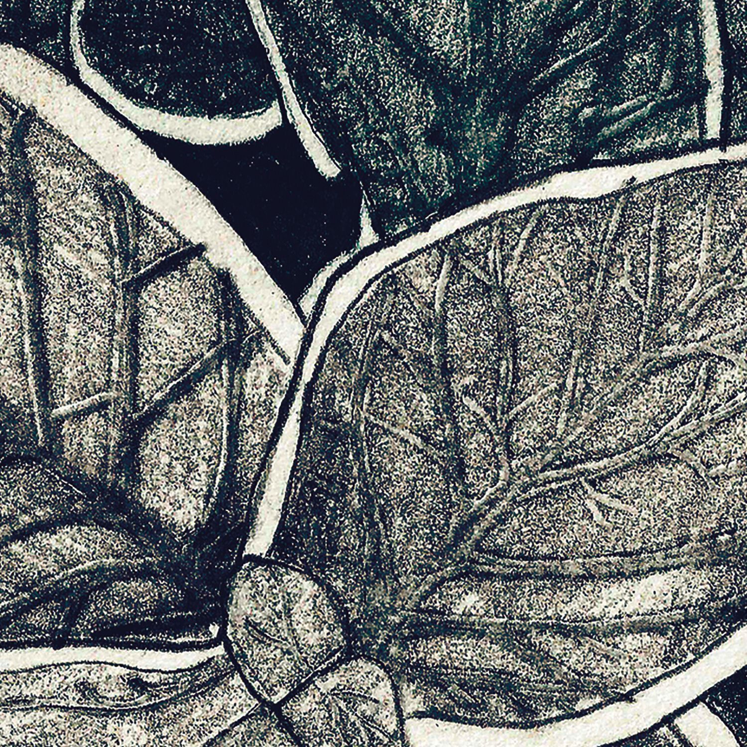 Обои с рисунком Ressource Faune &amp ARCH-00031135 - Вид №9