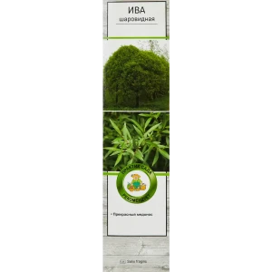Ива Шаровидная h40 см 86543987 STLM-2015265