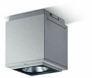 iGuzzini Светодиодный потолочный светильник для наружного освещения из литого алюминия Ipro