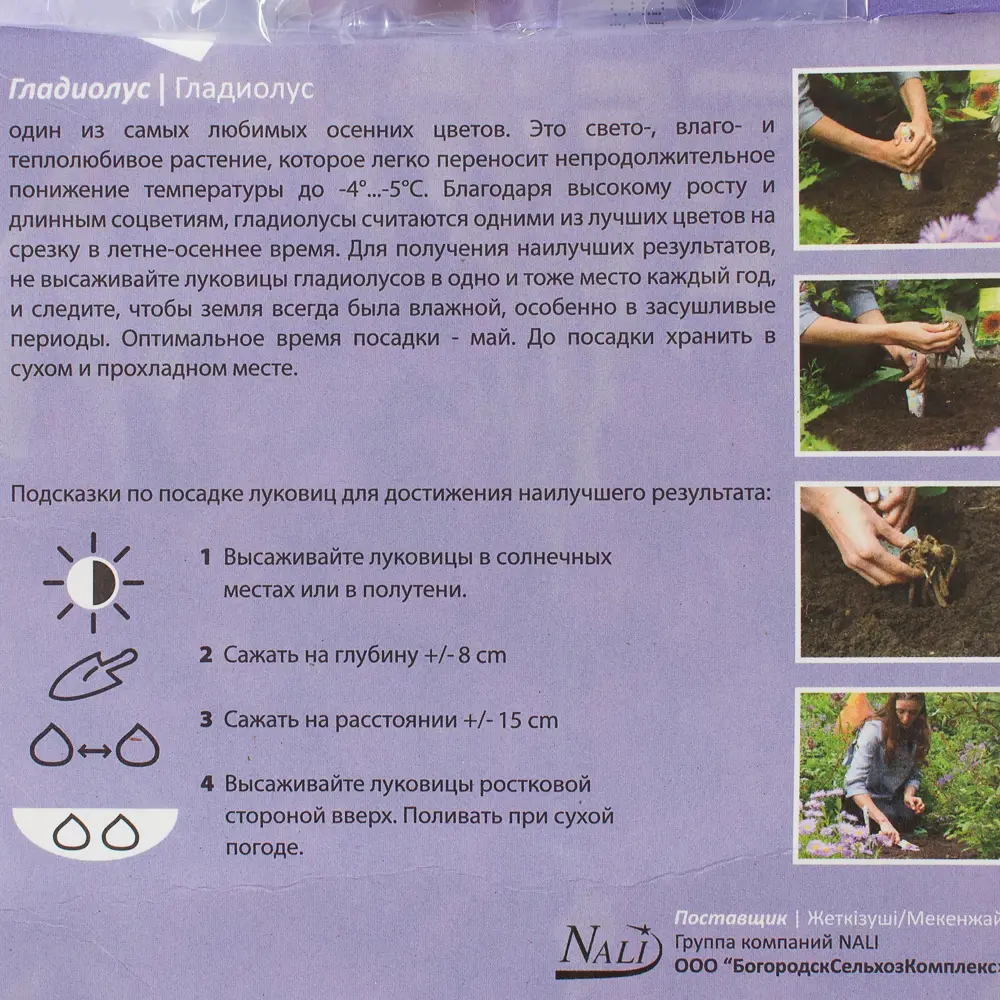 Гладиолус «Пёпл Флора» 10/12 (P.FLORA) Santreyd STLM-2118422 - Вид №1