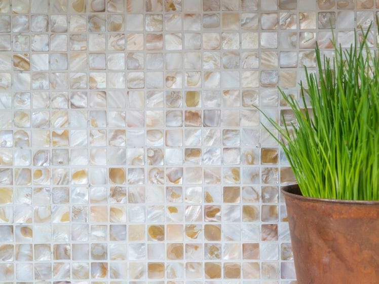 Мозаика из перламутра Mosaix ARCH-00068816