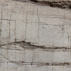 WP08145A Обои декоративные Adriani e Rossi