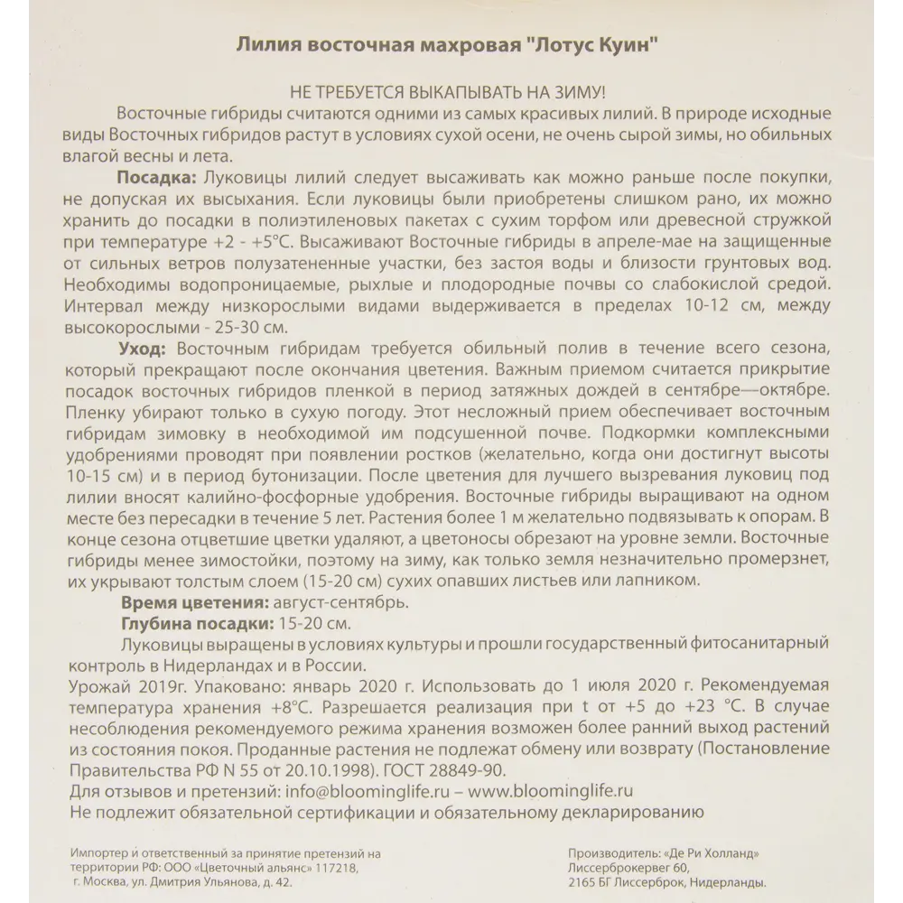 Лилия восточная махровая «Лотус Куин» 82539370 STLM-2061838 BLOOMING LIFE  - Вид №2