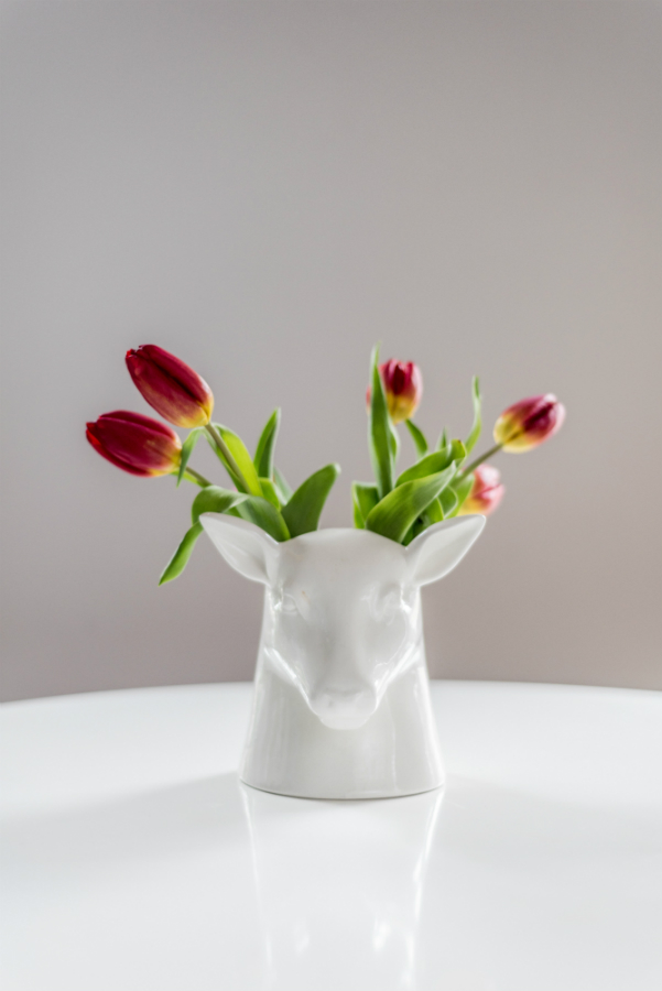 Органайзер белый для хранения Stag SUCK UK  00-3871559 Белый  - Вид №9