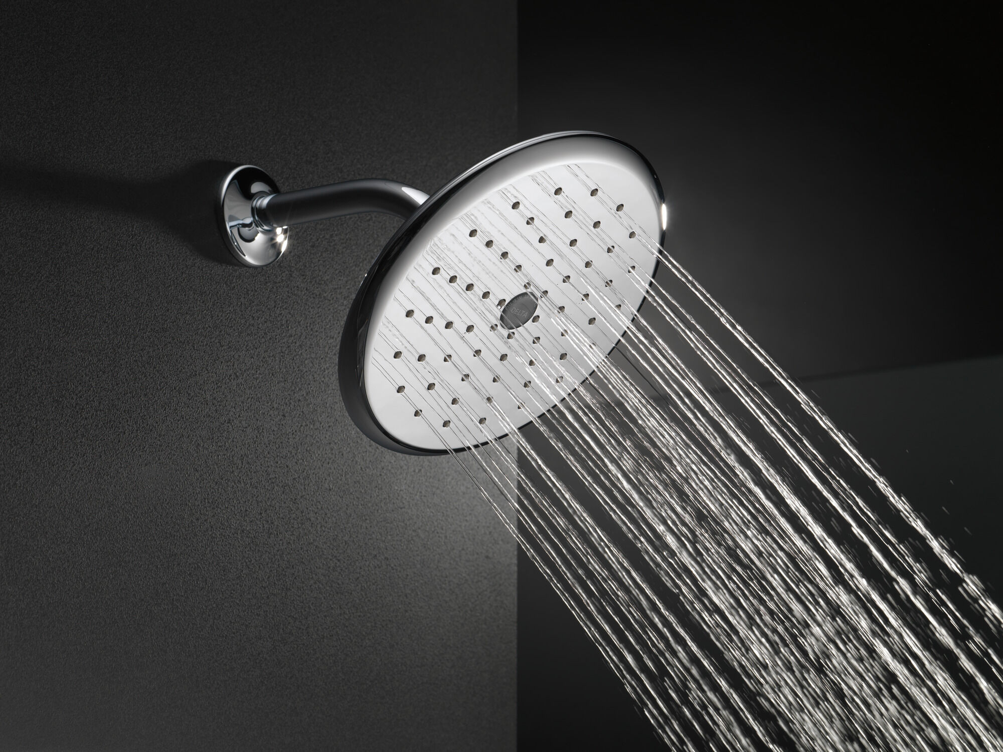 RP52382PB Душевая лейка Raincan с одинарной настройкой Delta Faucet Universal Showering Полированная латунь  - Вид №2