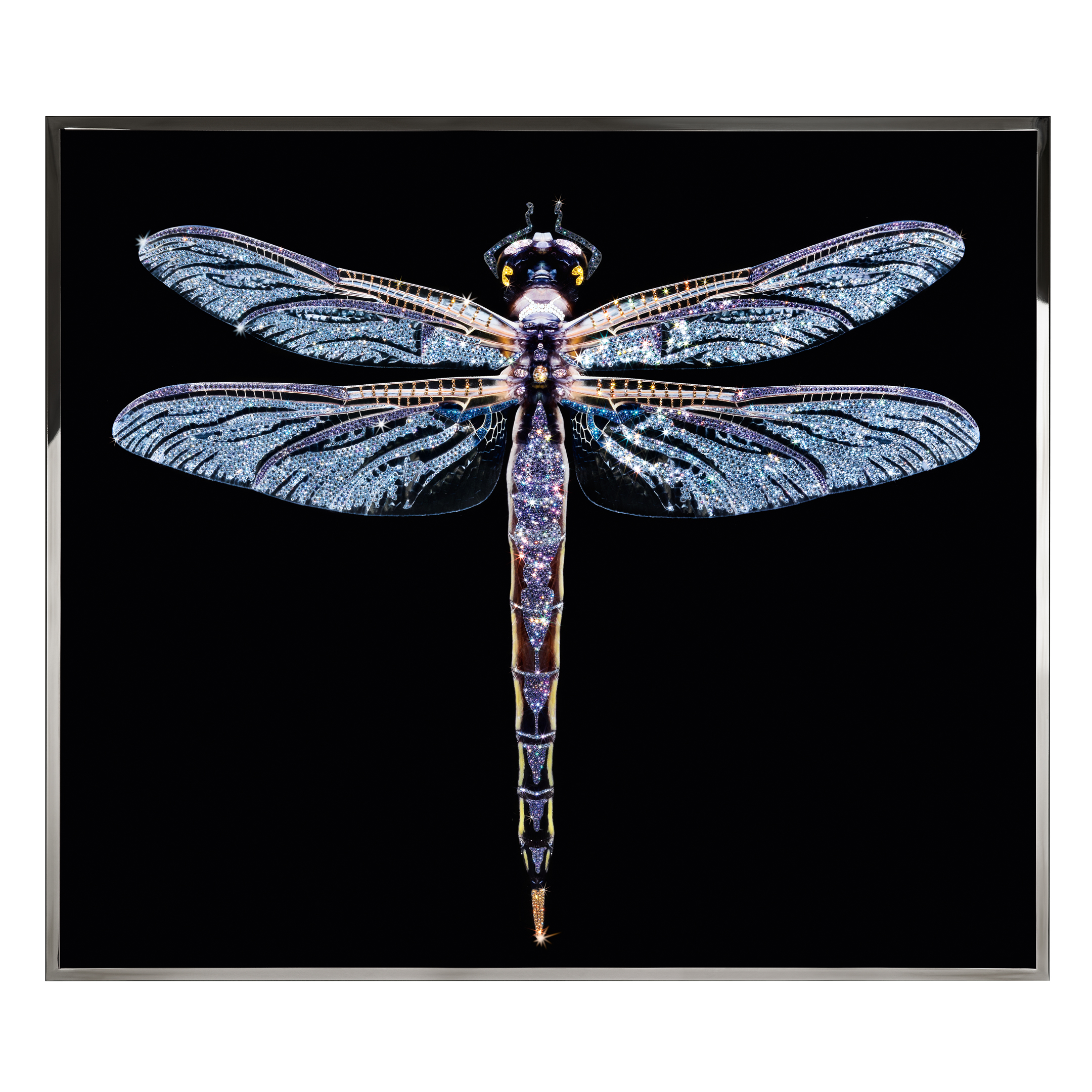 Libra Смешанная техника Visionnaire  - Вид №1