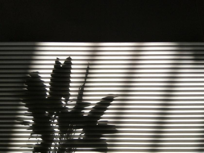 Bentu Design Трехмерная облицовка из бетона  K1200203 /02/ 01  - Вид №8