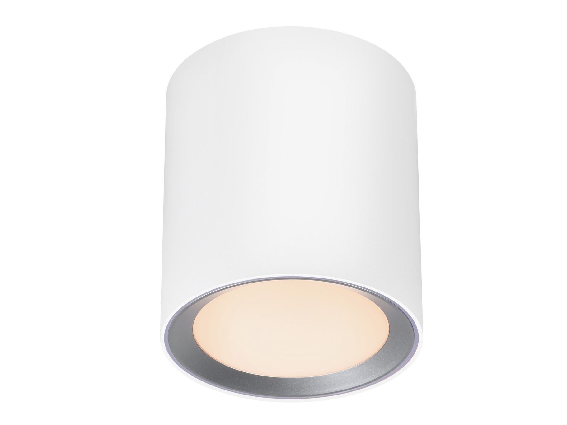 Потолочный металлический прожектор Nordlux Landon ARCH-00151558