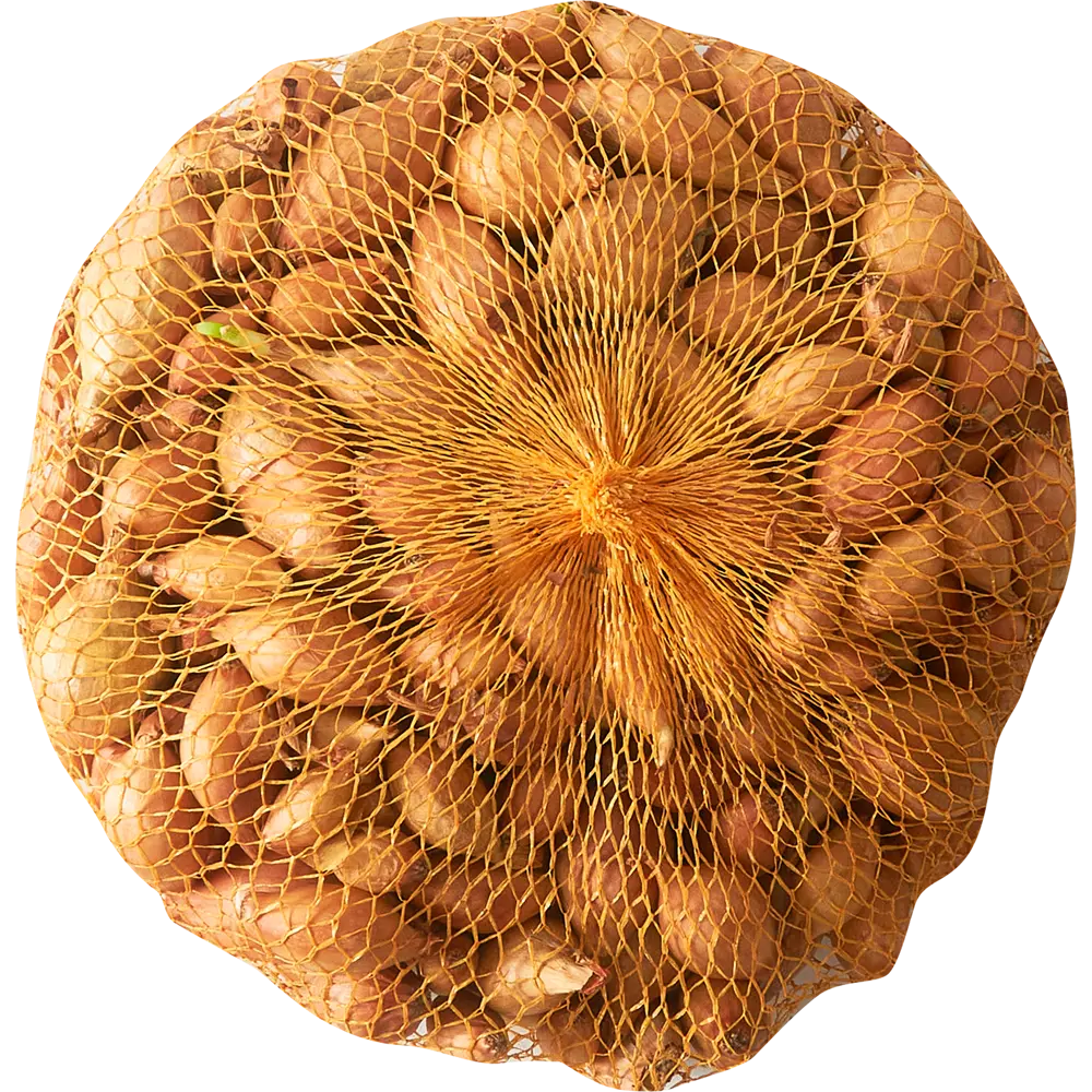 Лук севок Румба 10/21, 0.5 кг Santreyd STLM-2125754 - Вид №1