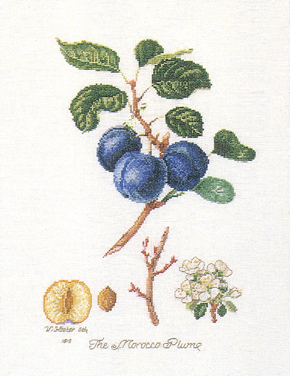 2059 Набор для вышивания Слива 26 х 35 см Thea Gouverneur 