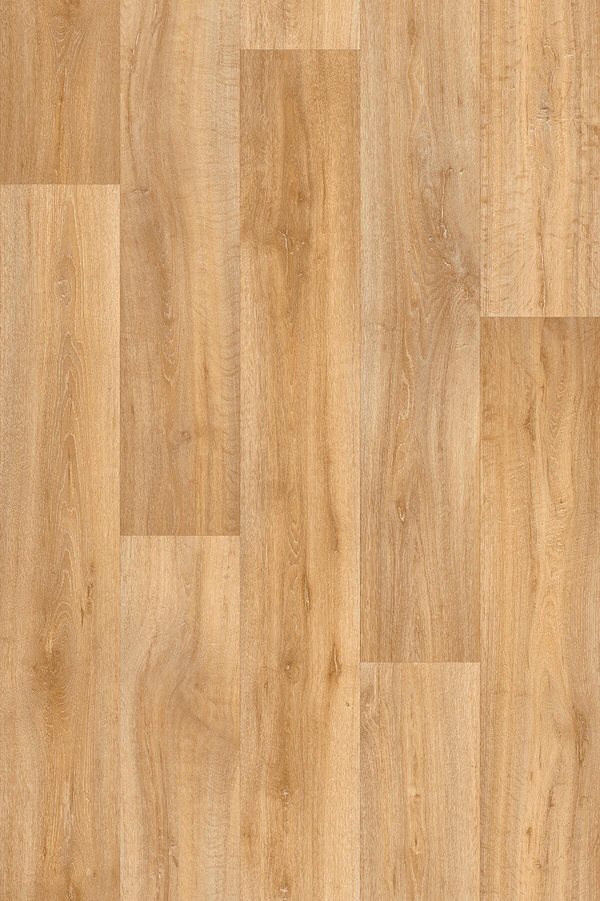 Нескользящий виниловый пол с эффектом дерева BEAUFLOR Novo ARCH-00118250 - Вид №5