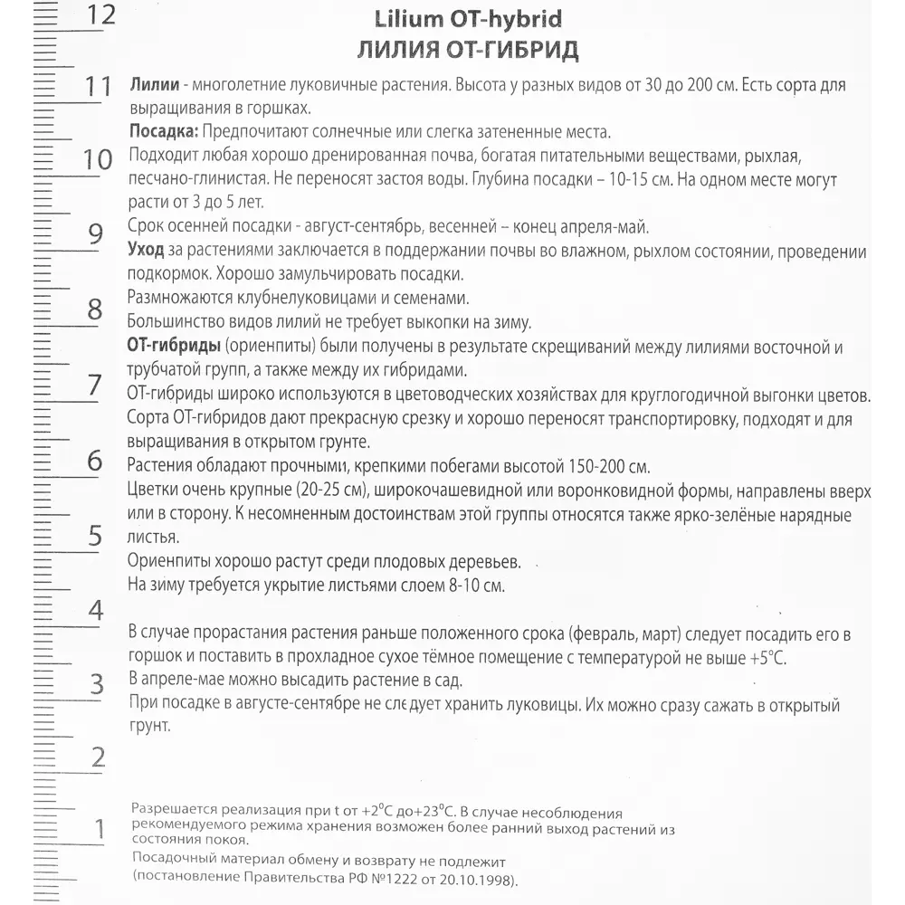 Лилии ОТ-гибриды «Бонбини», размер луковицы 14/16, 1 шт. 82118709 STLM-2195595 Santreyd  - Вид №1