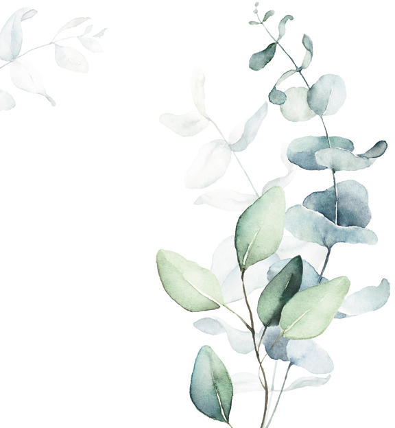 Стеновые панели - Мадлен