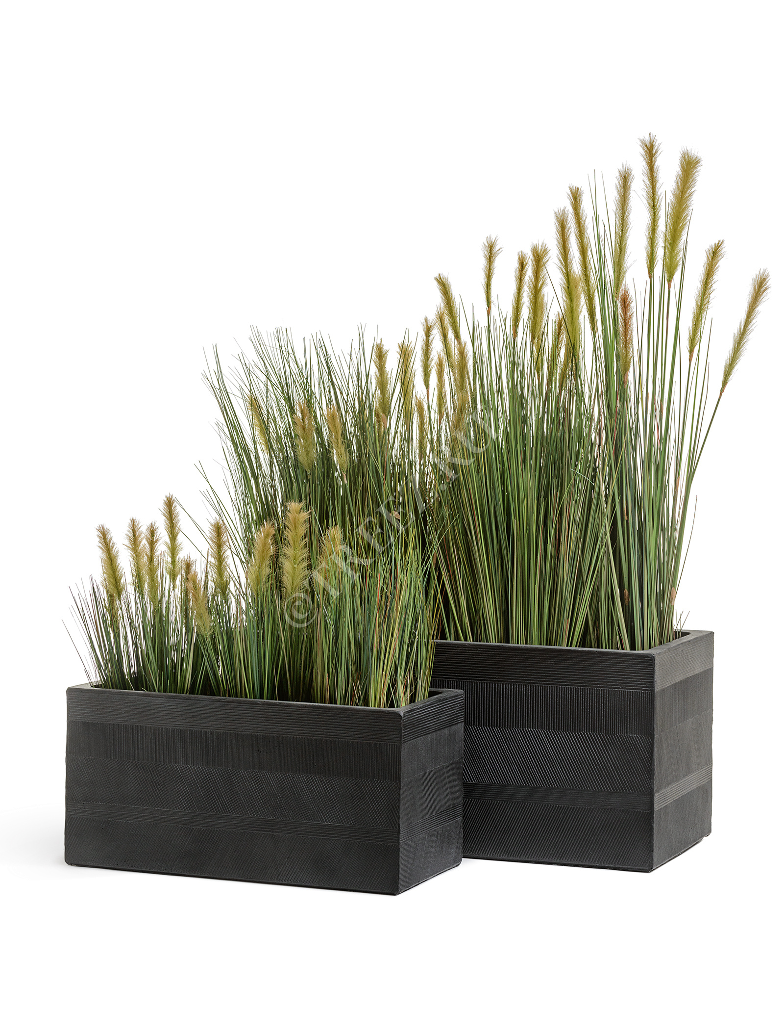 20.1040L-120 Трава Осока Элеганс куст с зелёными султанами Цветочная коллекция  - Вид №6