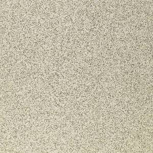 Керамогранит Standard ST 05 60x60 Неполированный