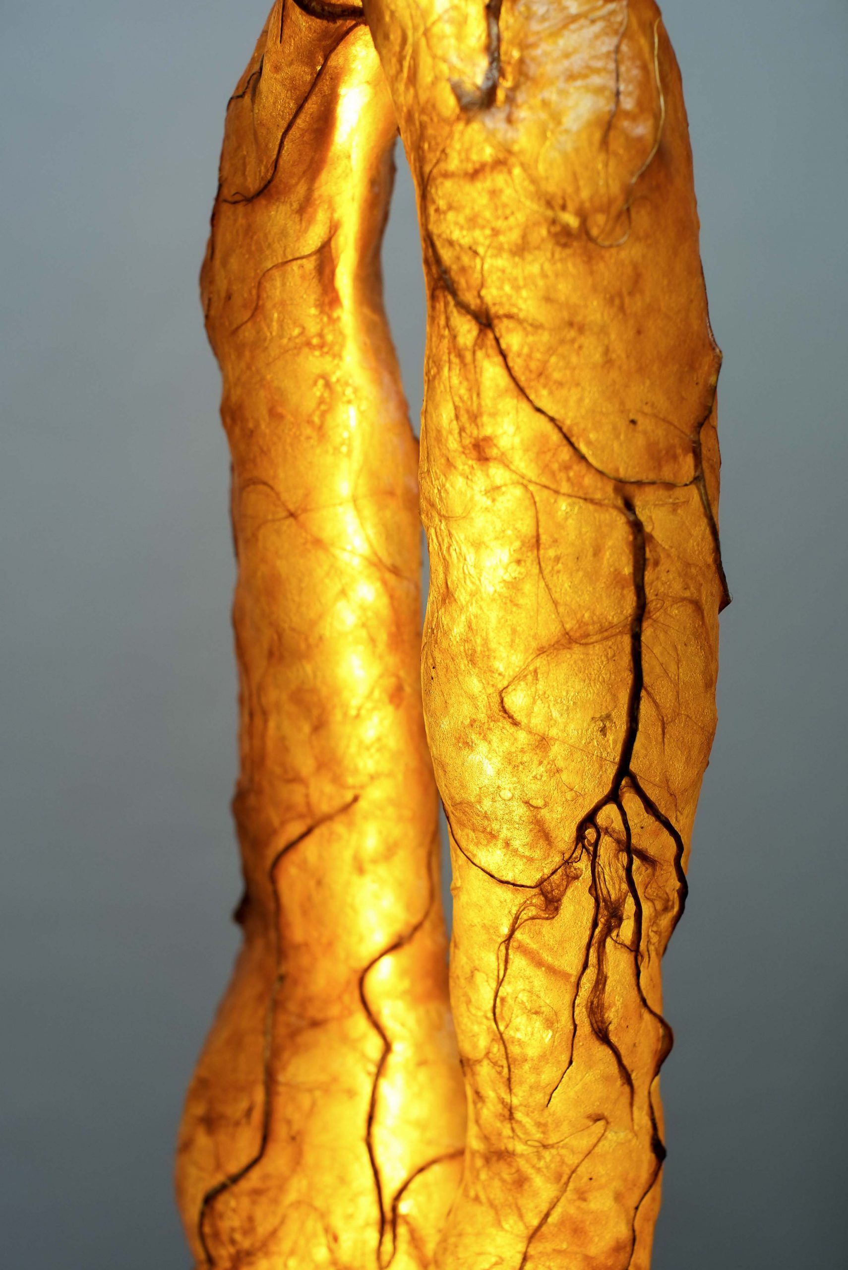 Яркая скульптура LO Contemporary THE WORM ARCH-00072125 - Вид №1