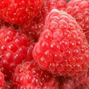 WP01829 Фотообои Verol Фотообои decoline 1х1 м