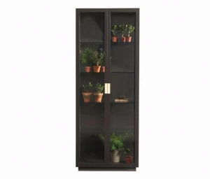 ASPLUND Витрина из лакированного металла Frame