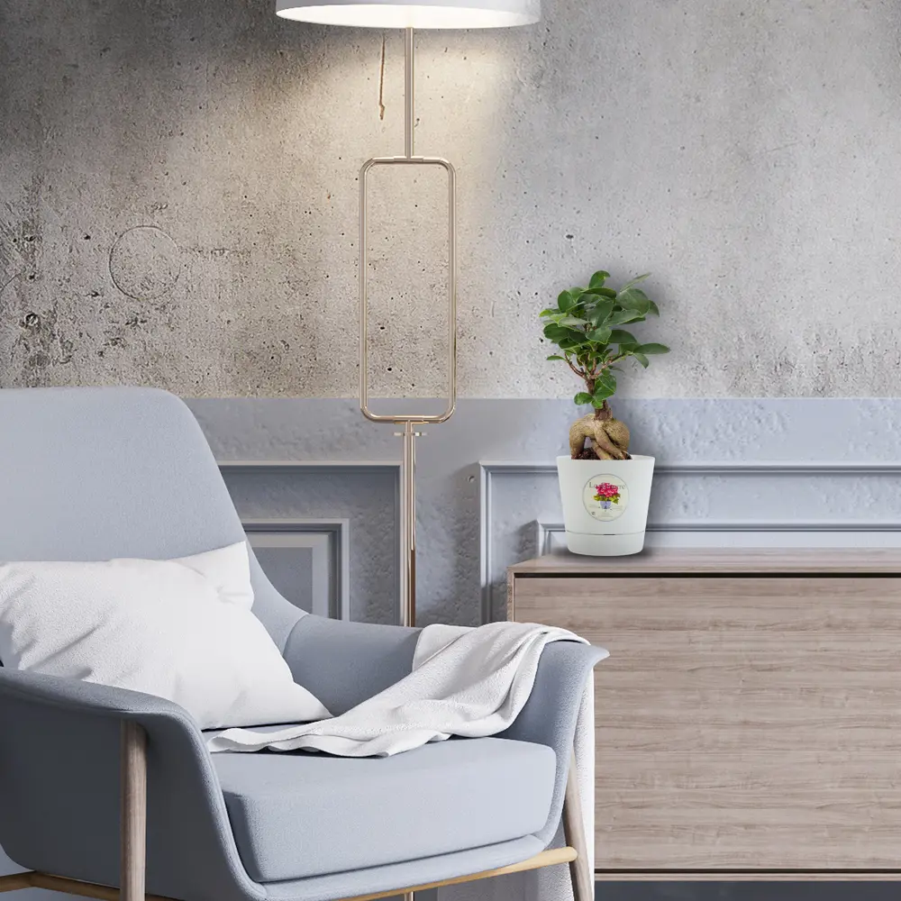 Фикус "Гинсенг" 9x20 см 82850356 STLM-2145346 Santreyd  - Вид №3