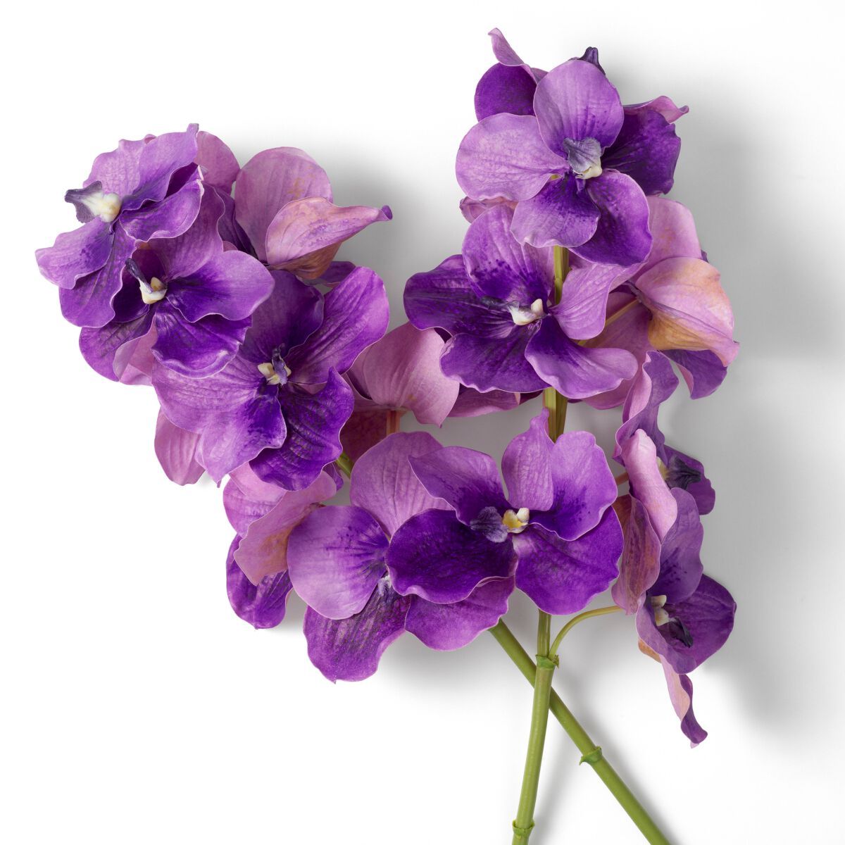 Искусственное растение Eichholtz BOUQUET OF VANDA ORCHIDS ARCH-00134531