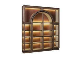 Витрина из дерева и стекла со встроенным освещением