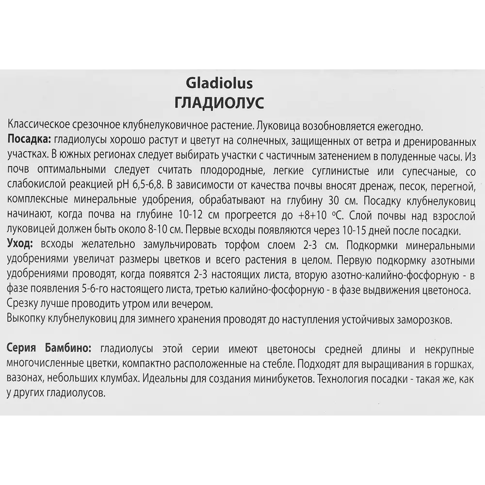 Гладиолус бамбино Мишель, 3 шт. 89351834 STLM-2174833 ПОИСК  - Вид №2