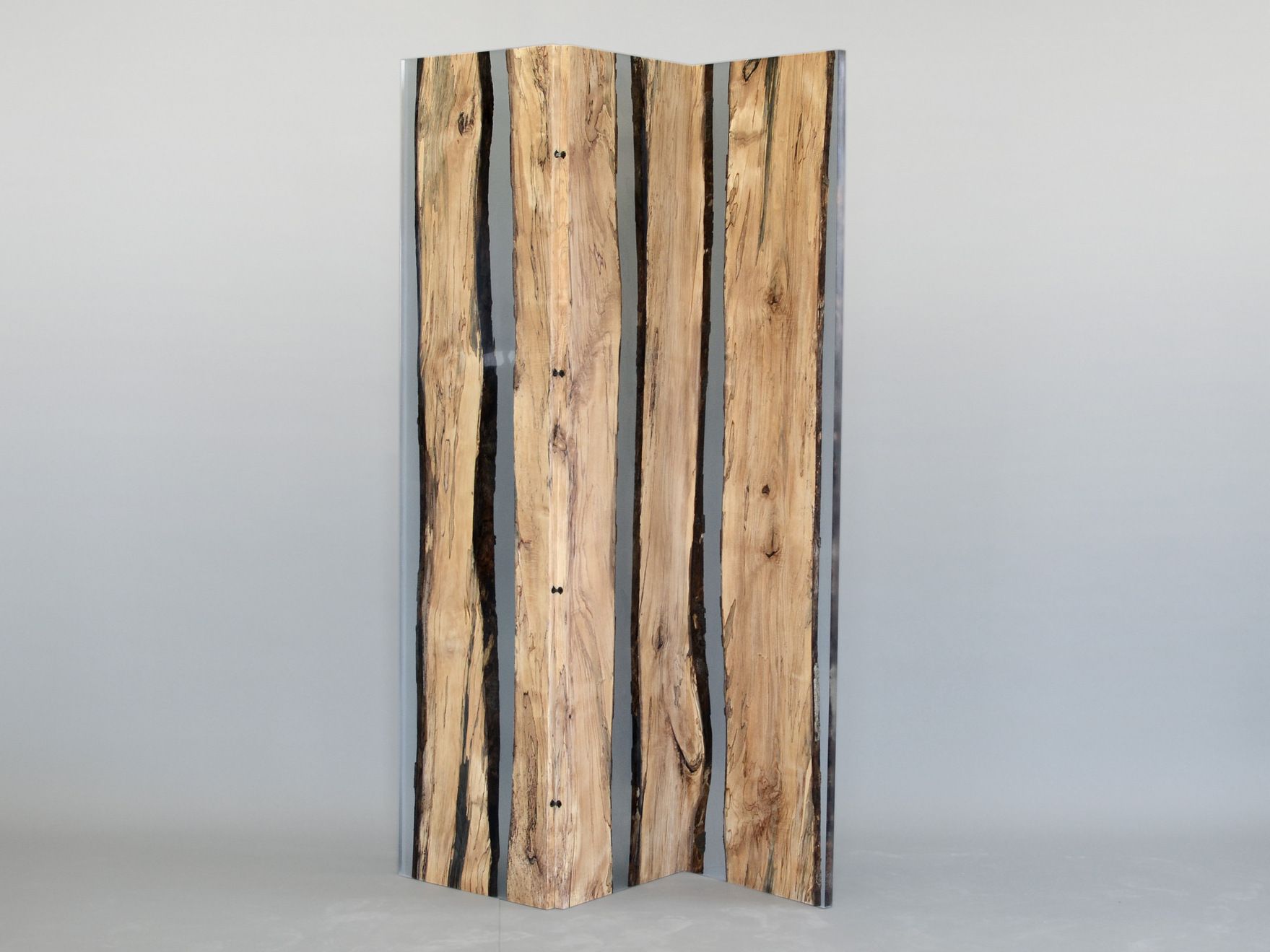 Ширма alcarol Fungi ARCH-00070950 - Вид №2