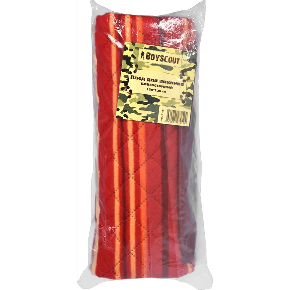 Плед Boyscout для пикника 150x130 см Santreyd STLM-2078679 - Вид №1