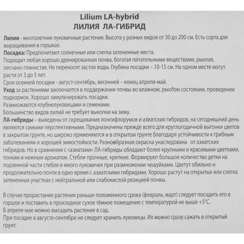 Лилия ла-гибрид Ричмонд 85186034 STLM-2177469 ПОИСК  - Вид №2