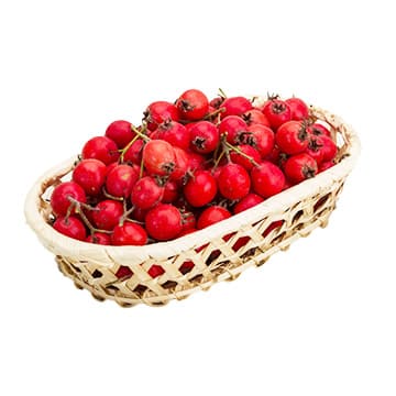 Боярышник ~700 г Santreyd 28558 - Вид №1