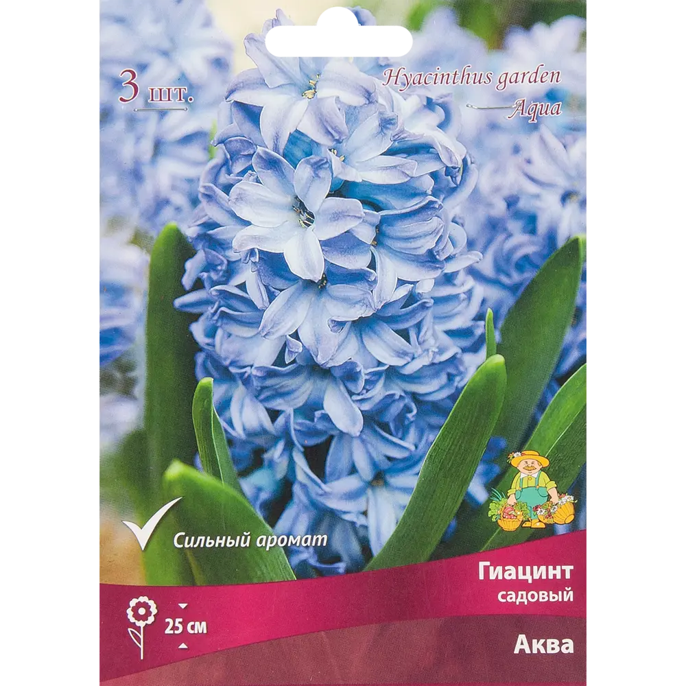 Гиацинт садовый Аква, 3 шт 85204909 STLM-2006218 ПОИСК 