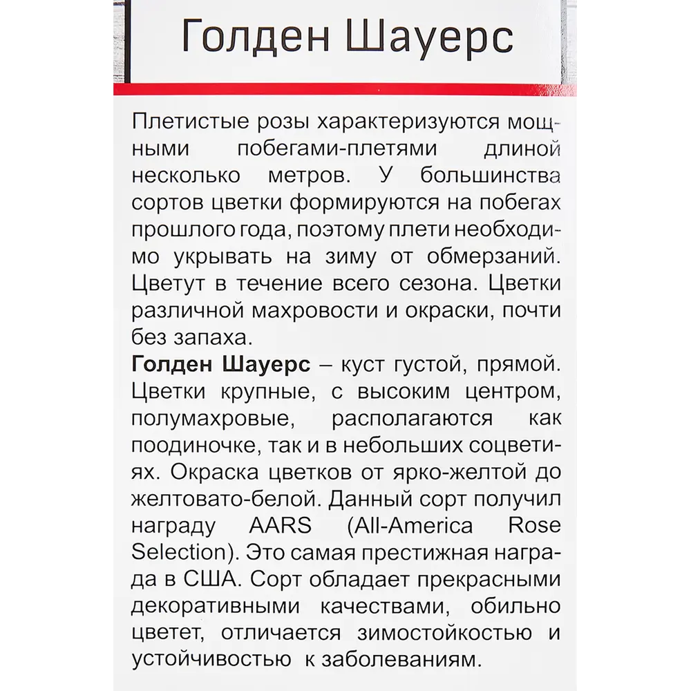 Розы плетистые «Голден Шауерс» 18350279 STLM-2180614 Santreyd  - Вид №2