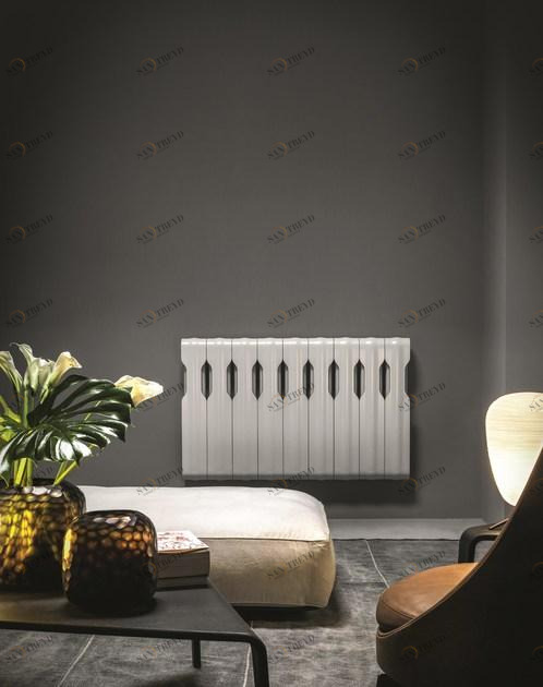 Tubes Radiatori Настенный радиатор Elements Dd