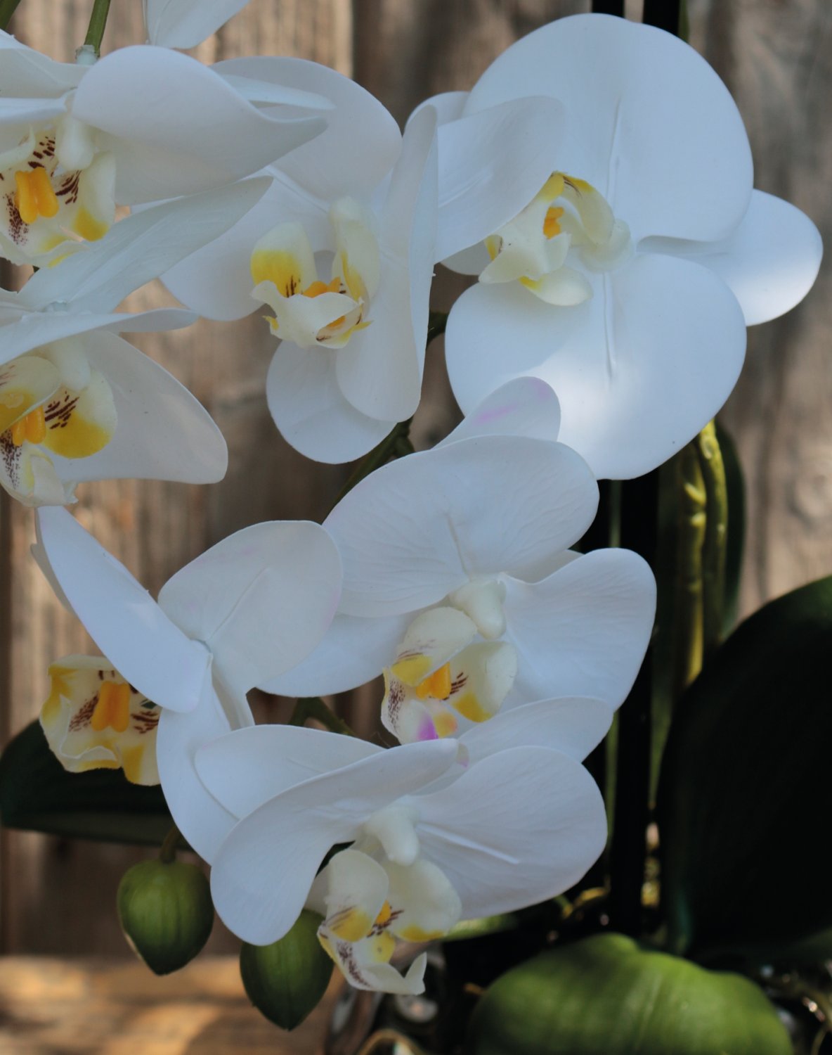 2772 778 a3 Пластиковая орхидея Phalaenopsis, 2-х кратная, горшечная, 45 см, real touch, бежево-белая H-andreas  - Вид №2