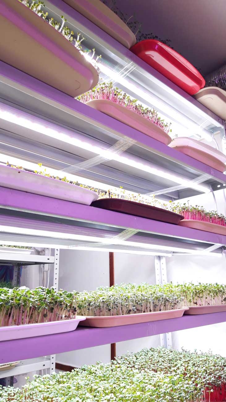 1016 Фитолампа для растений линейная VA-3 120 см Samsung 5000К LAB.Space  - Вид №7