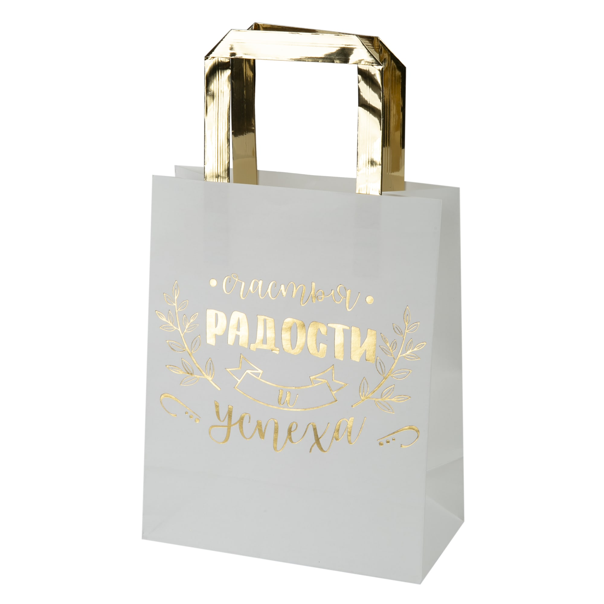 84730466 Пакет подарочный крафтовый 81195 17x23 см Santreyd 