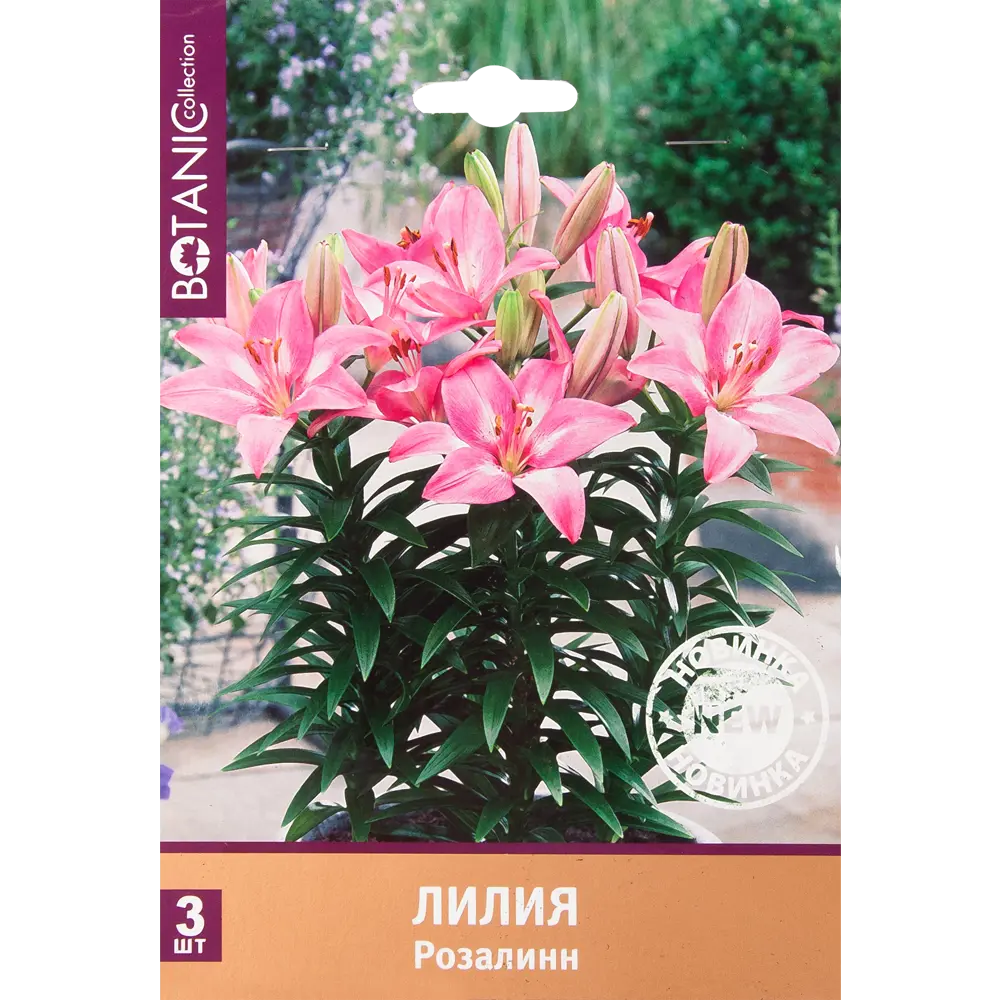 Лилия Розалин 12/14, 3 шт 82539355 STLM-2119756 Santreyd 