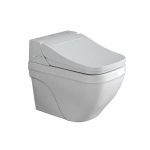 Подвесной поддон для электронного сиденья и крышки с комплектом крепления 100090710 - N356330437    Nk concept NOKEN 100181020  WHITE