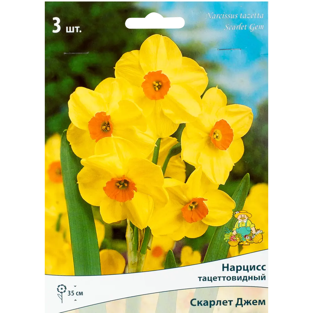 Нарцисс Скарлет Джем - золотистые луковицы для весеннего сада 82319556 Santreyd STLM-1582721
