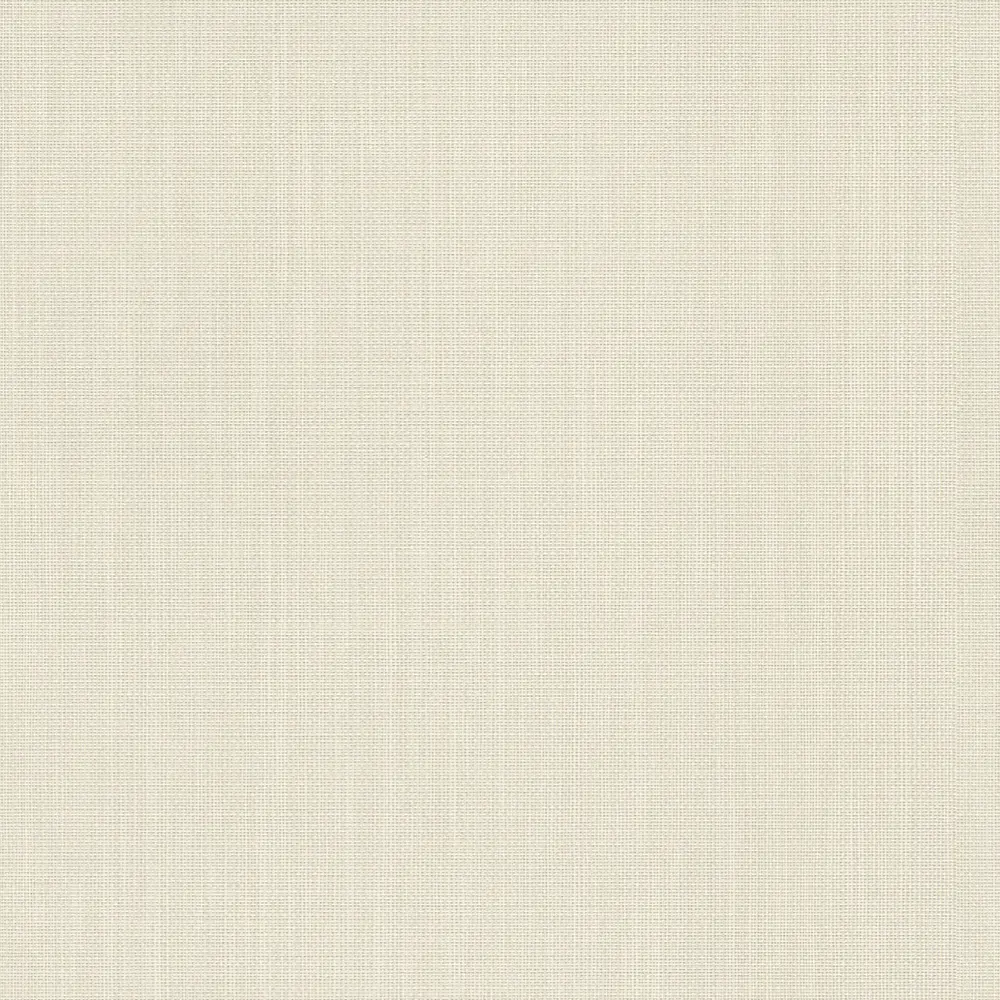 Обои флизелиновые Rasch Barbara Home Collection белые 0.53 м 527230 STLM-2046021 - Вид №1